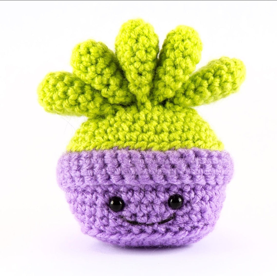 Crochet starter kit for a succulent plant - crochet plant pattern craft kit